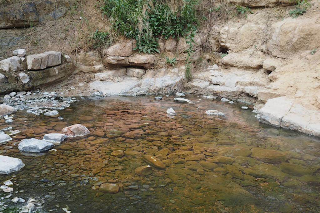 Source of the Springs 2