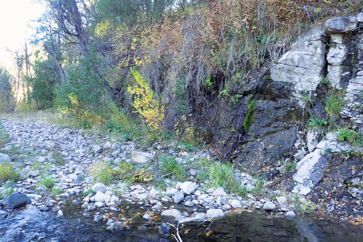 Middle Fork Gila River 02