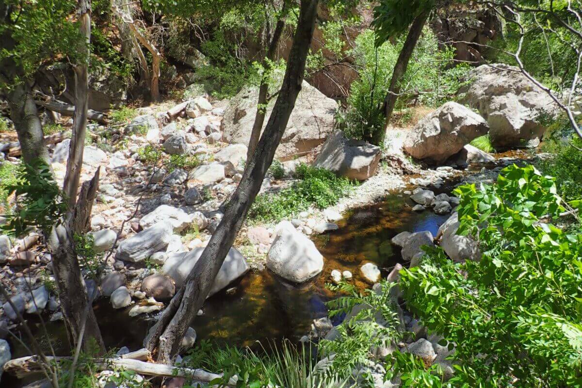 Hiking Turkey Creek Hot Springs in New Mexico's Gila Wilderness