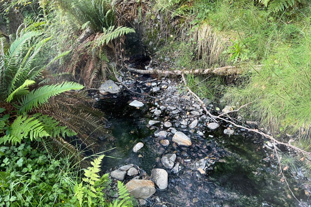 Natural Hot Springs 01