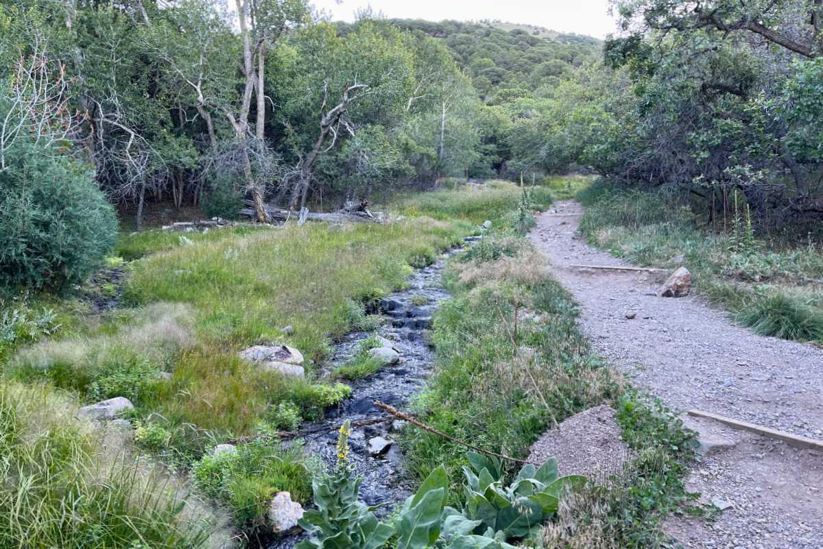 Hot Springs Trail 01